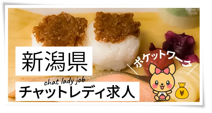 新潟県チャットレディ求人ポケットワーク