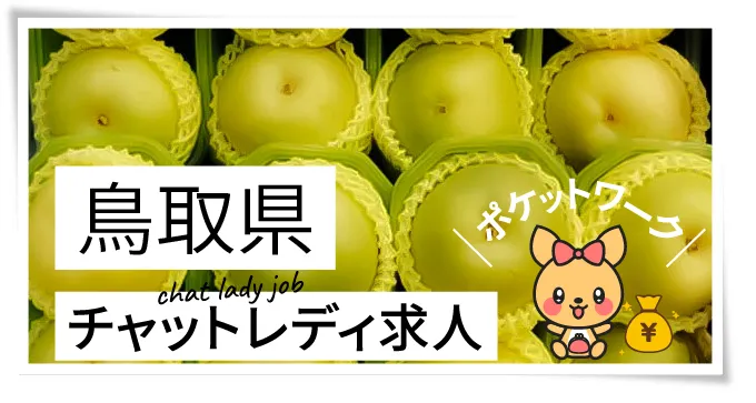 鳥取県チャットレディ求人ポケットワーク